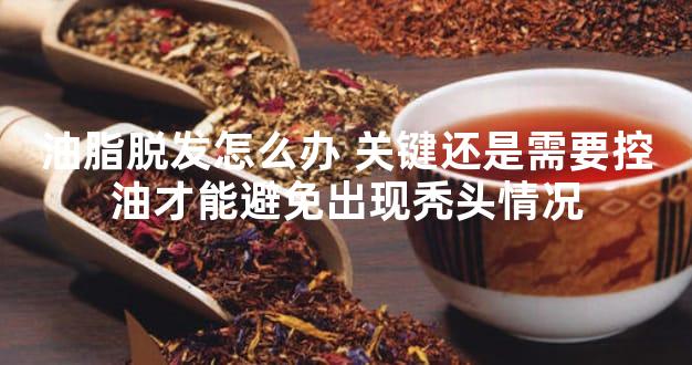 油脂脱发怎么办 关键还是需要控油才能避免出现秃头情况